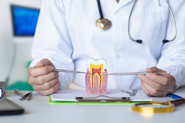 Best Emergency Orthodontic Services in Crugers, NY